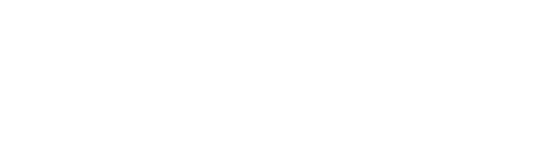 VantPix